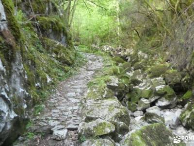 Parque Natural Ponga-Puente de Mayo;accesorios para senderismo excursiones en cuenca puente de const